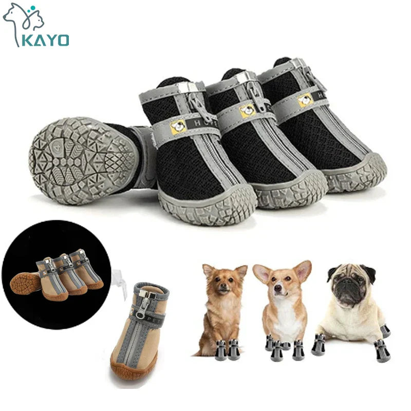 Small dog wearing breathable mesh trainers with non-slip soles