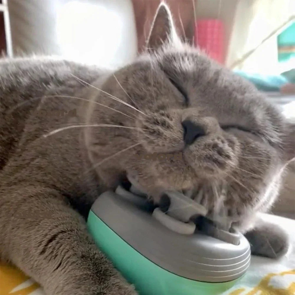 Electric cat massager being used on a relaxed cat for head and neck relief