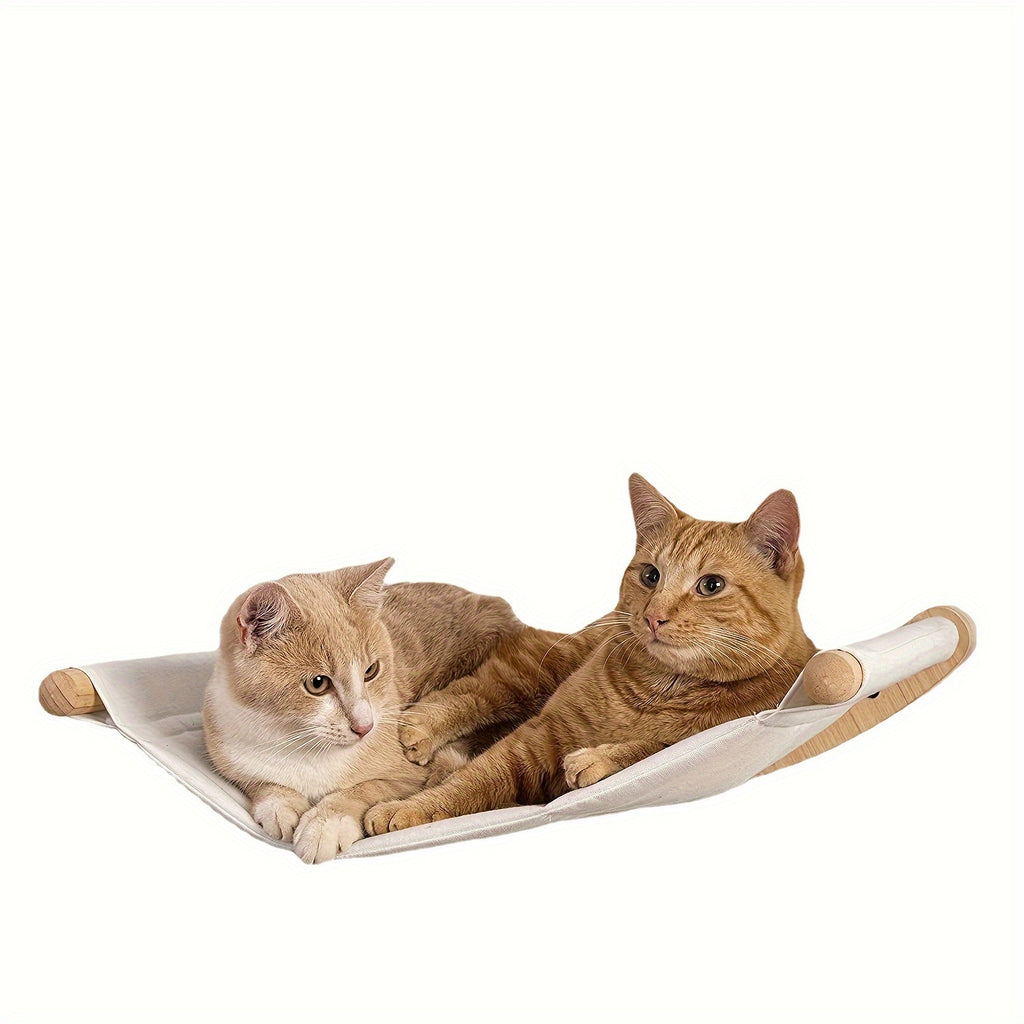Two cats lounging on a unique cat hammock, showcasing the comfort of a wall cat tree indoor activity center.