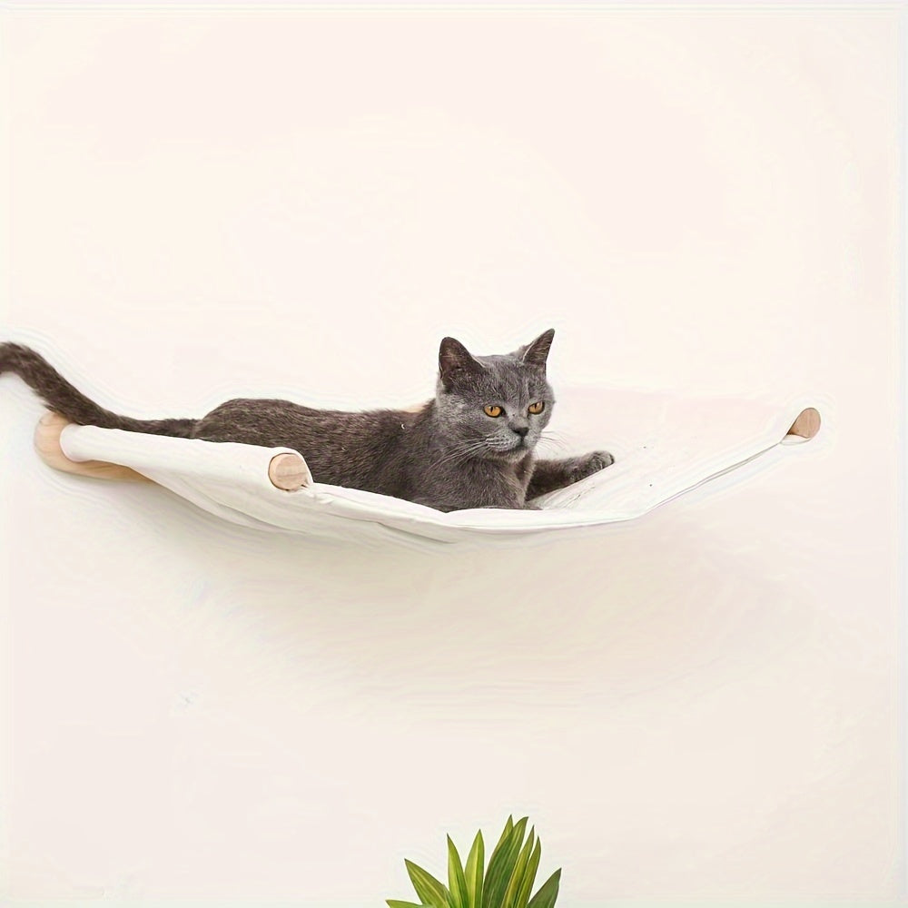 Cat lounging on a wall-mounted hammock in a cozy indoor space, perfect for wall cat tree indoor activity center.