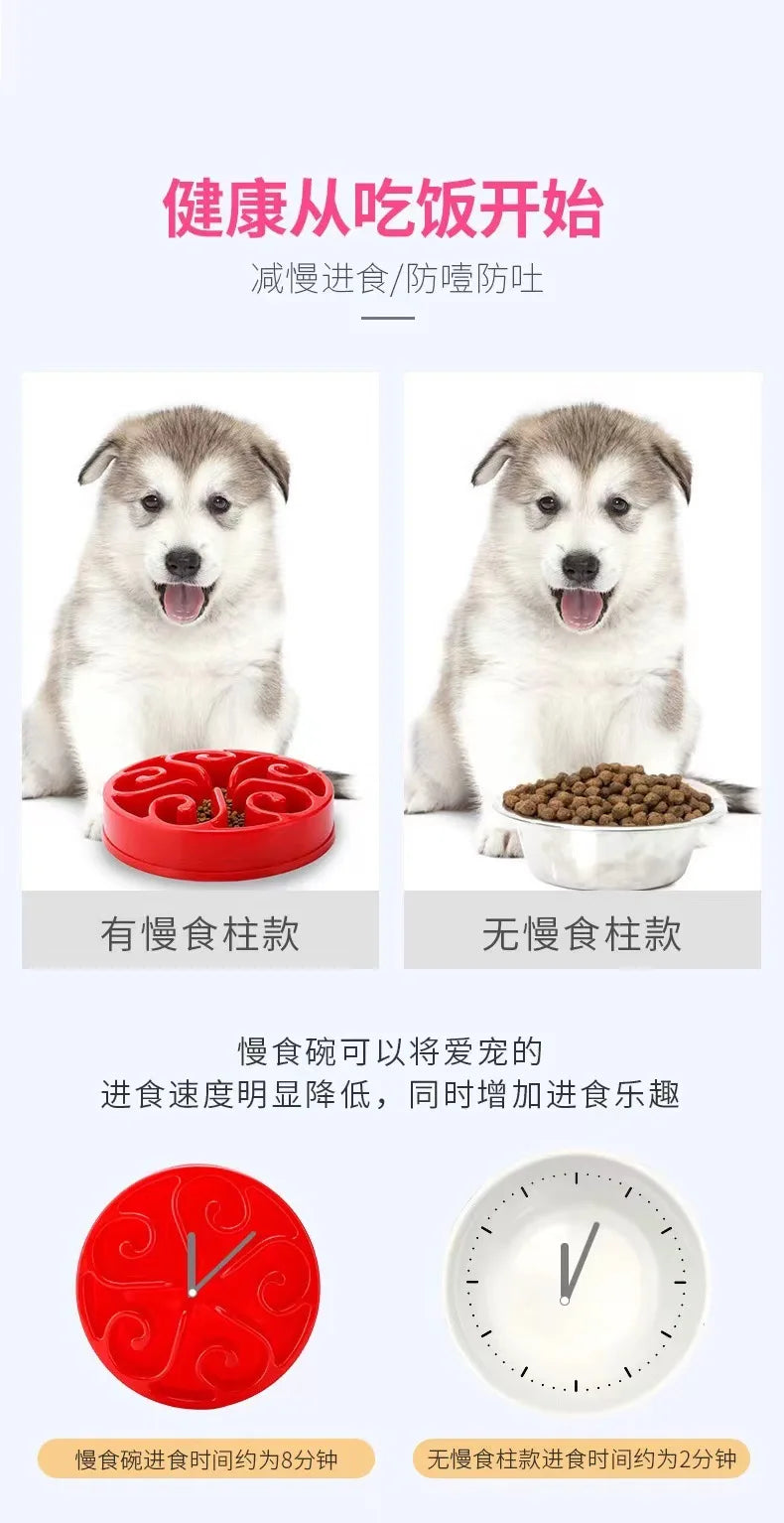 Slow Feeder Dog Bowl | Non-Slip Anti-Gulping Bowl for Dogs & Puppies