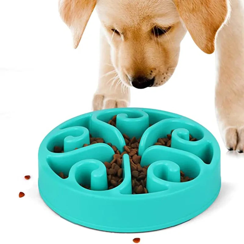 Slow Feeder Dog Bowl | Non-Slip Anti-Gulping Bowl for Dogs & Puppies