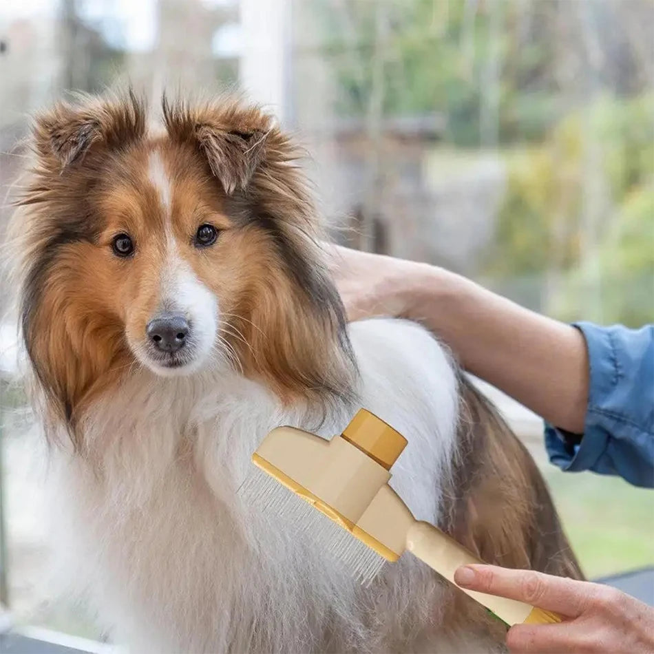 Self-Cleaning Slicker Brush | Pet Grooming Brush for Cats & Dogs