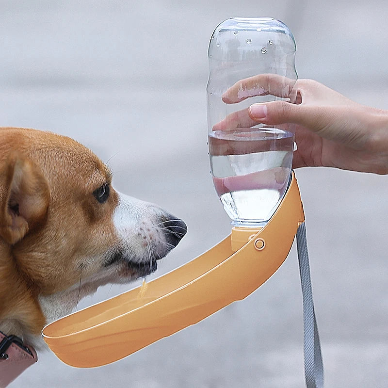 Portable Dog Water Bottle | Foldable Travel Drinking Bottle for Dogs