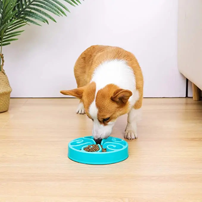 Slow Feeder Dog Bowl | Non-Slip Anti-Gulping Bowl for Dogs & Puppies