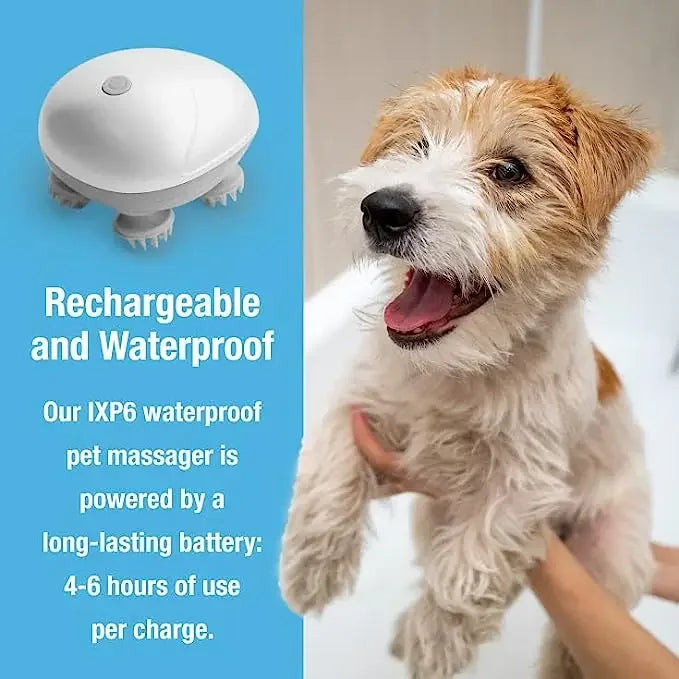 Electric Cat Massager | Head, Back & Neck Relaxation Tool for Pets