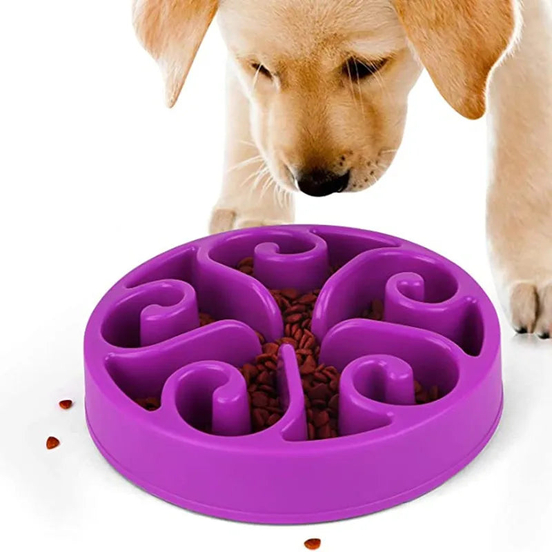 Slow Feeder Dog Bowl | Non-Slip Anti-Gulping Bowl for Dogs & Puppies
