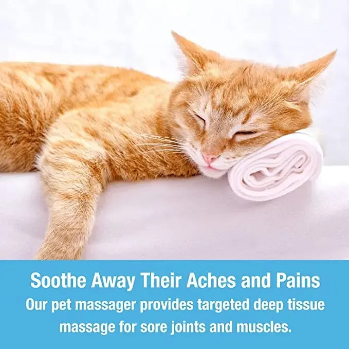 Electric Cat Massager | Head, Back & Neck Relaxation Tool for Pets