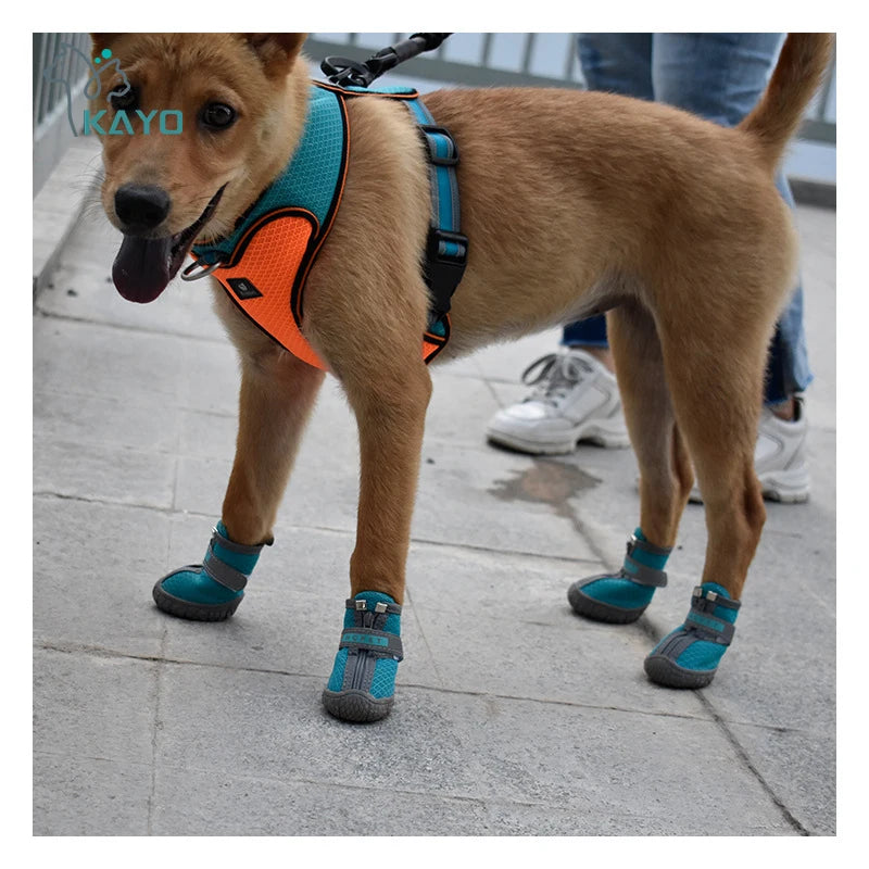 Dog Mesh Trainers | Breathable Non-Slip Shoes for Small Dogs & Cats