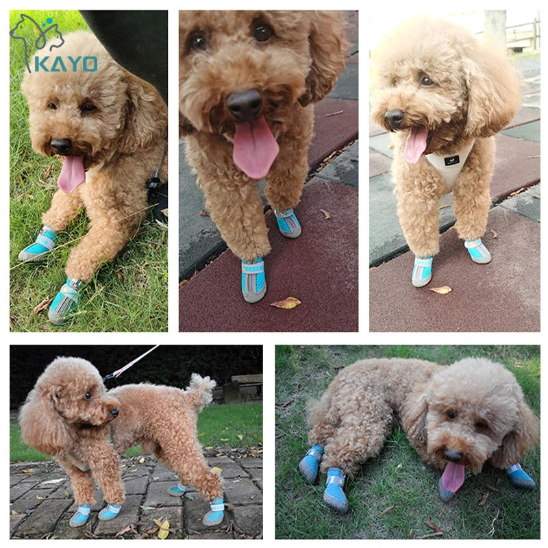 Dog Mesh Trainers | Breathable Non-Slip Shoes for Small Dogs & Cats
