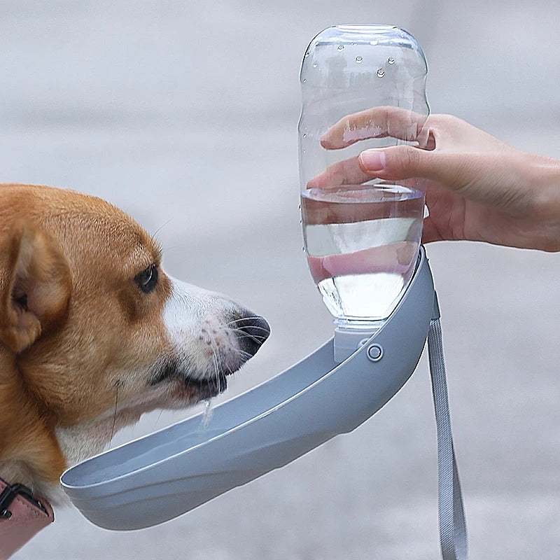 Portable Dog Water Bottle | Foldable Travel Drinking Bottle for Dogs