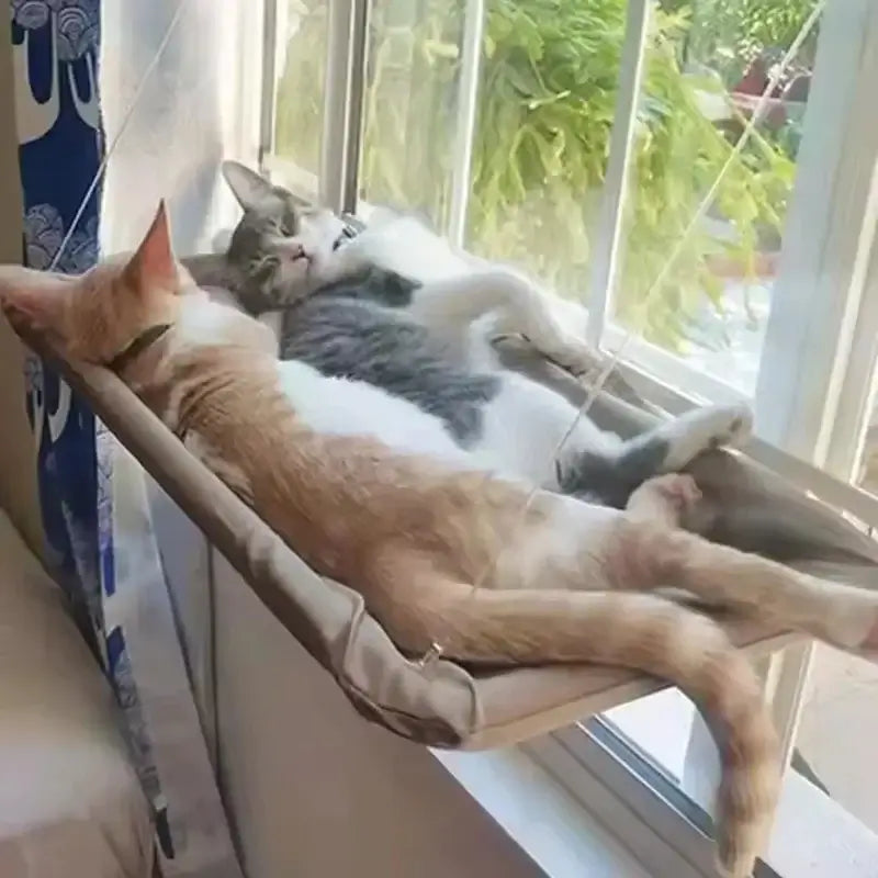 Cat Window Perch | Suction Cup Window Seat Hammock for Cats