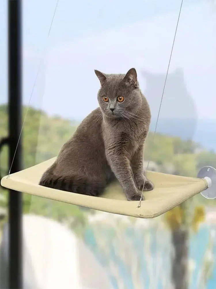 Cat Window Perch | Suction Cup Window Seat Hammock for Cats