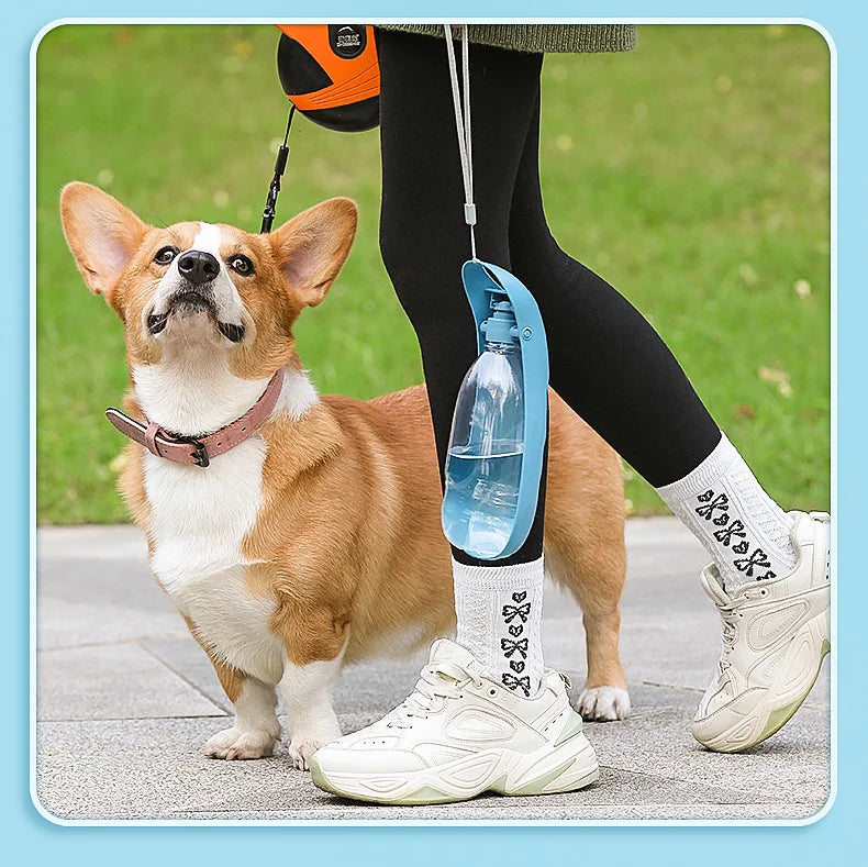 Portable Dog Water Bottle | Foldable Travel Drinking Bottle for Dogs