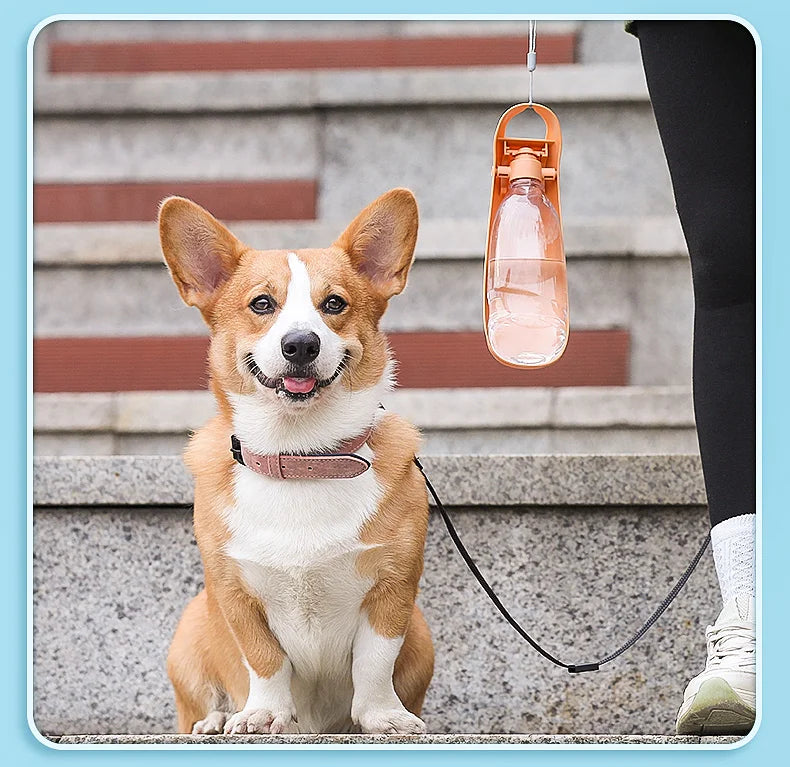 Portable Dog Water Bottle | Foldable Travel Drinking Bottle for Dogs
