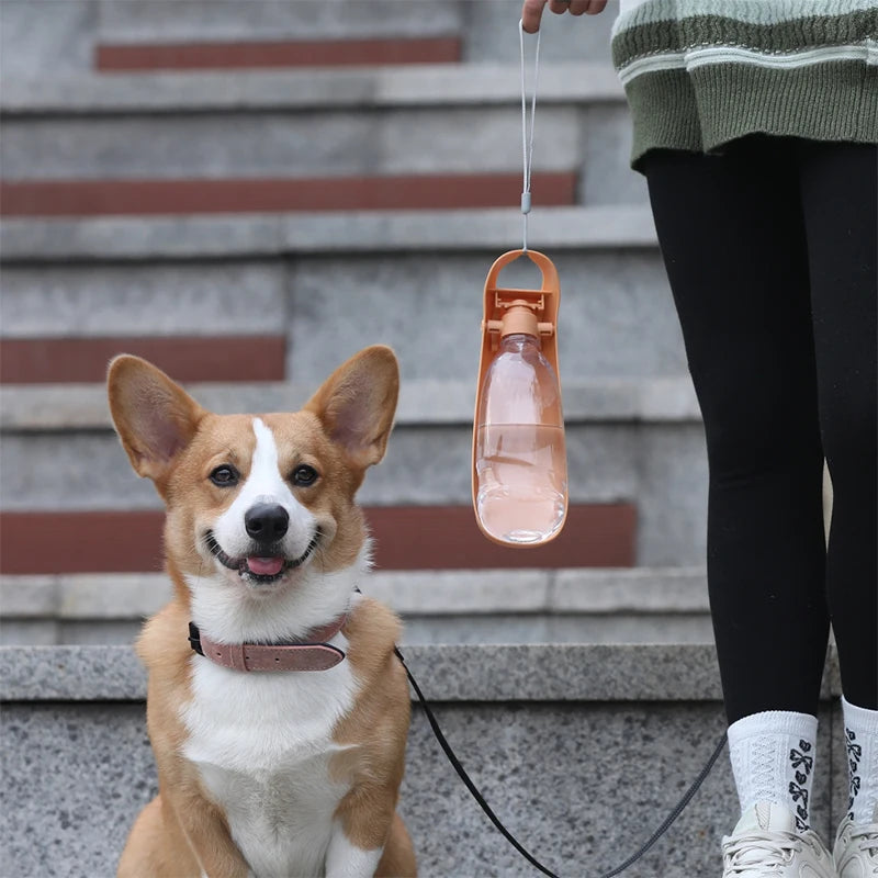 Portable Dog Water Bottle | Foldable Travel Drinking Bottle for Dogs