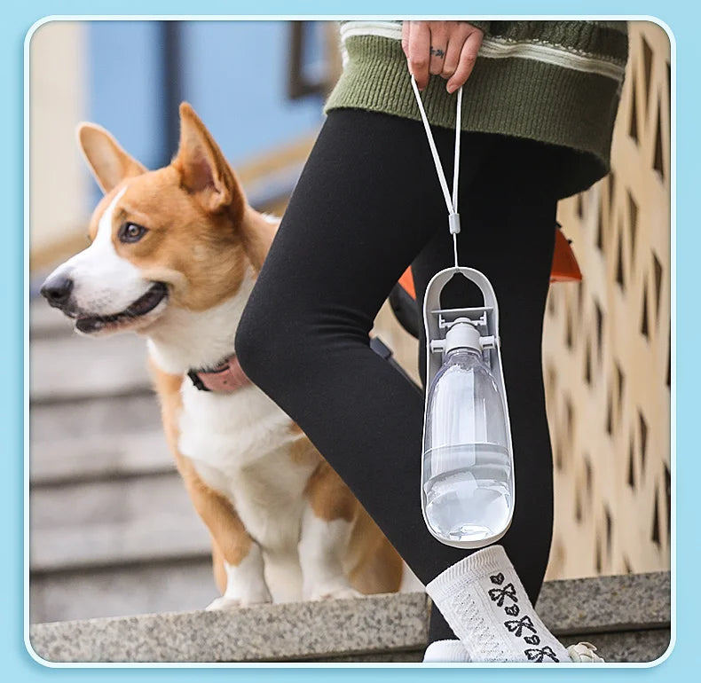 Portable Dog Water Bottle | Foldable Travel Drinking Bottle for Dogs