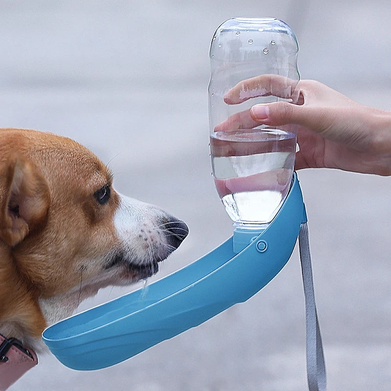 Portable Dog Water Bottle | Foldable Travel Drinking Bottle for Dogs