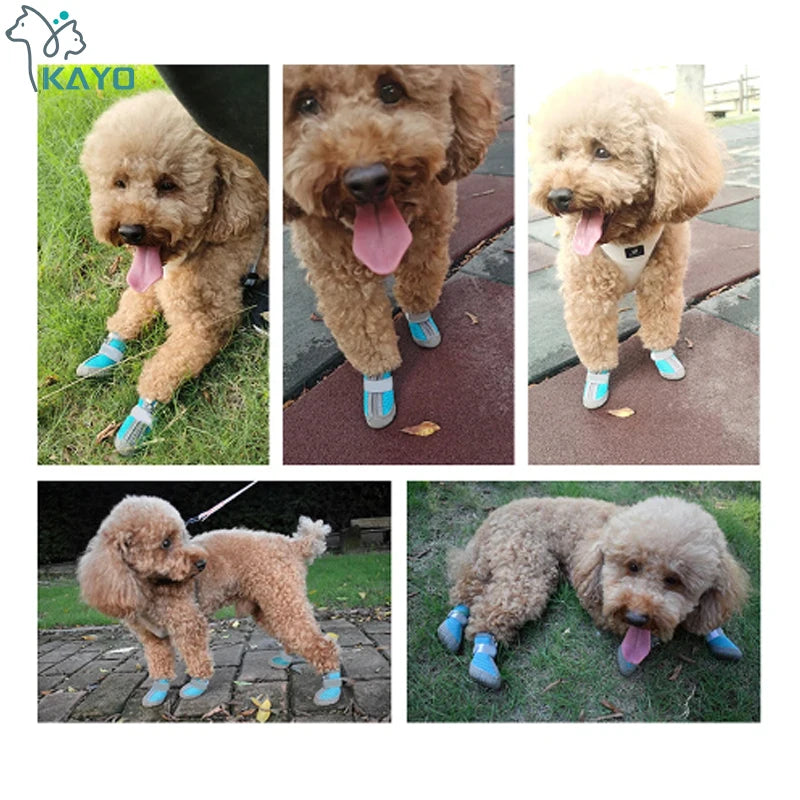 Dog Mesh Trainers | Breathable Non-Slip Shoes for Small Dogs & Cats