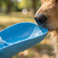 Portable Dog Water Bottle | Foldable Travel Drinking Bottle for Dogs