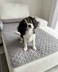 Dog Sofa Bed Cover | Waterproof, Washable & Non-Slip Couch Protector