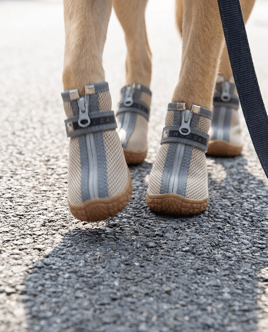 Dog Mesh Trainers | Breathable Non-Slip Shoes for Small Dogs & Cats.