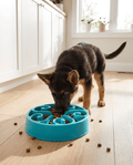Slow Feeder Dog Bowl | Non-Slip Anti-Gulping Bowl for Dogs & Puppies