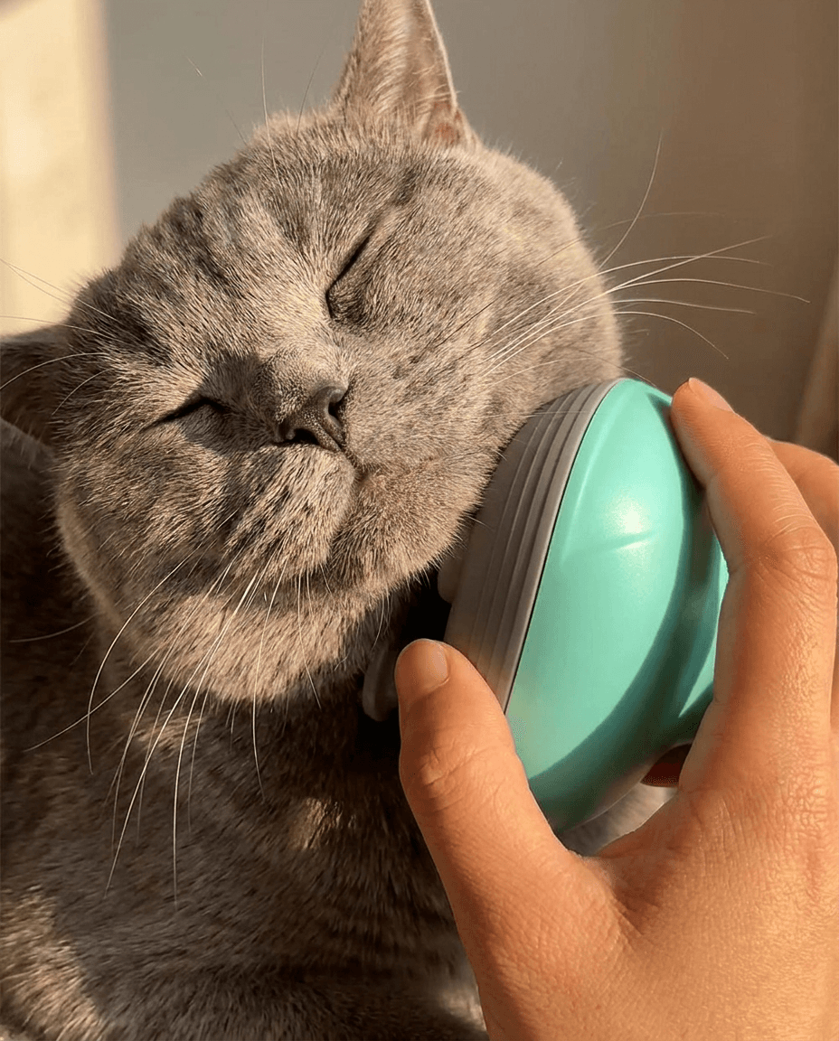 Electric Cat Massager | Head, Back & Neck Relaxation Tool for Pets