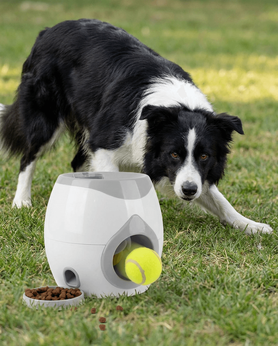 Automatic Dog Ball Launcher | Interactive Fetch Machine for Indoor & Outdoor.