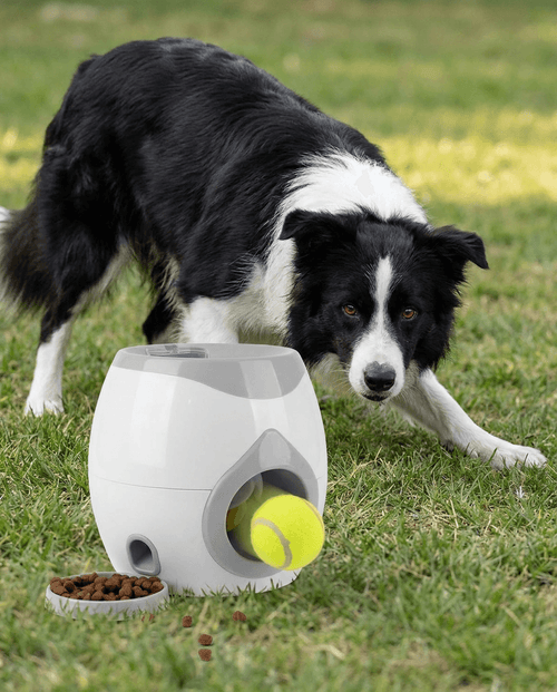 Automatic Dog Ball Launcher | Interactive Fetch Machine for Indoor & Outdoor