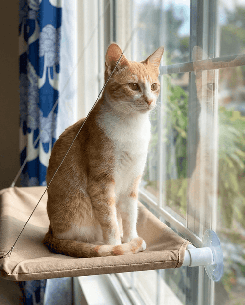 Cat Window Perch | Suction Cup Window Seat Hammock for Cats